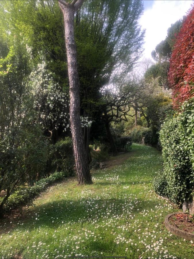 Il Pioppo Antico Apartment Viggiu ภายนอก รูปภาพ