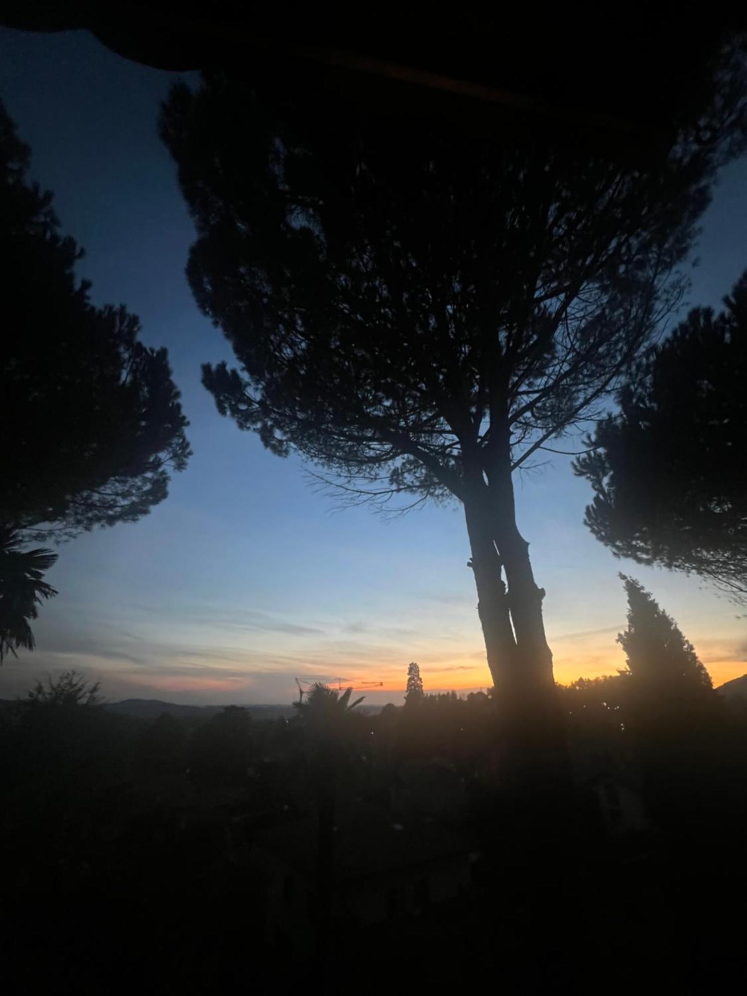 Il Pioppo Antico Apartment Viggiu ภายนอก รูปภาพ